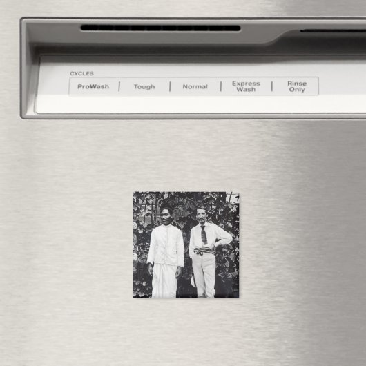 Robert Louis Stevenson en zijn vriend Magneet (Insitu (Vaatwasser))