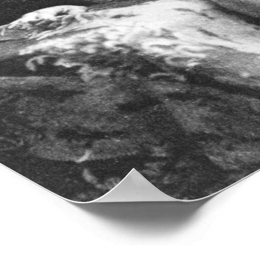 Robert Louis Stevenson Poster (Hoek)