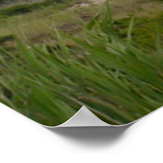 ROBERT MOSES PARK NEW YORK LIGHTHOUSE Print (Hoek)