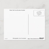 Robert The Bruce Briefkaart (Achterkant)