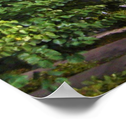 Roberto Clemente Bridge - Pittsburgh, Pennsylvania Poster (Hoek)