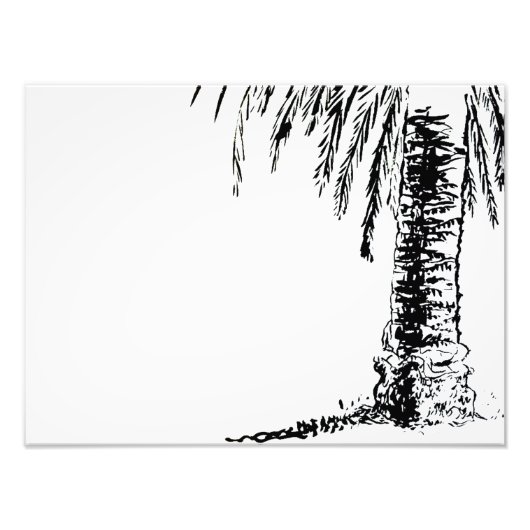 Roberts-structuur Foto Afdruk (Voorkant)