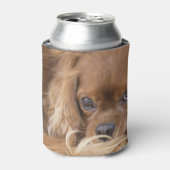 Robijn Cavalier King Charles Spaniel Blikjeskoeler (Blikje Voorkant)