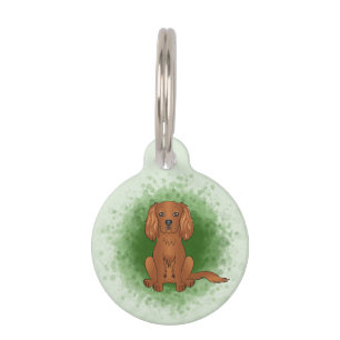 Robijn Cavalier King Charles Spaniel Hond Op Groen Huisdierpenning