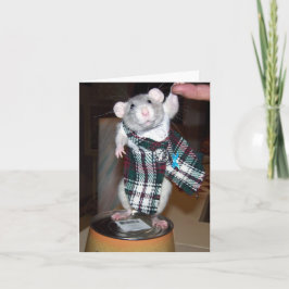 Robijn in haar Kaart van de Kilt