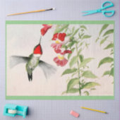  robijnkeel kolibrie pastel tissuepapier (Craft)