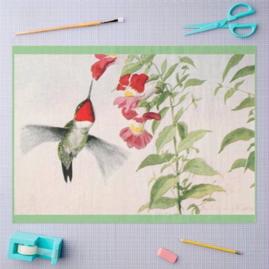 robijnkeel kolibrie pastel tissuepapier (Craft)