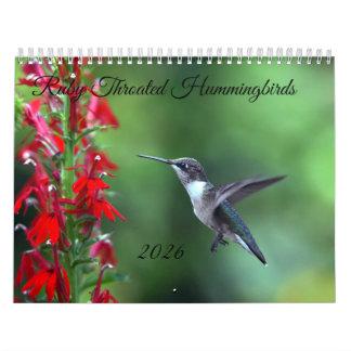 Robijnkeelkolibrie 2026 Kalender