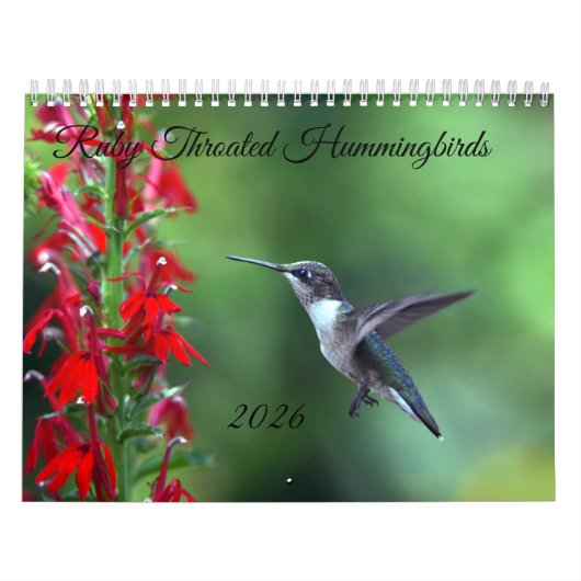 Robijnkeelkolibrie 2026 Kalender (Hoes)