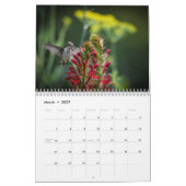 Robijnkeelkolibrie 2026 Kalender (Mar 2027)
