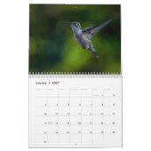 Robijnkeelkolibrie 2026 Kalender (Jan 2027)