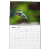 Robijnkeelkolibrie 2026 Kalender (Feb 2027)