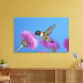 Robijnkeelkolibrie Canvas Afdruk (Insitu (Woonkamer))