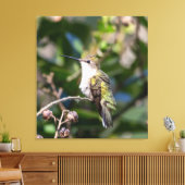 Robijnkeelkolibrie  canvas afdruk (Insitu (Woonkamer))