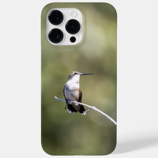 Robijnkeelkolibrie Case-Mate iPhone case (Achterkant)