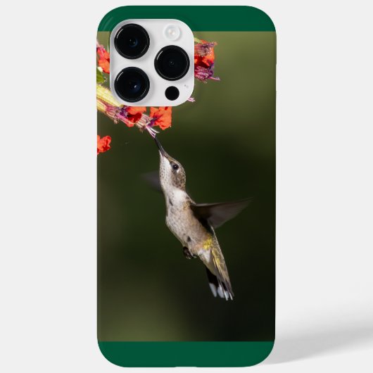 Robijnkeelkolibrie Case-Mate iPhone case (Achterkant)