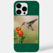 Robijnkeelkolibrie Case-Mate iPhone case (Achterkant)