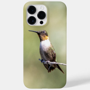 Robijnkeelkolibrie Case-Mate iPhone 14 pro max hoesje