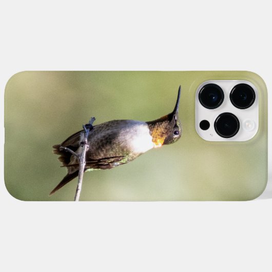 Robijnkeelkolibrie Case-Mate iPhone case (Achterkant (horizontaal))