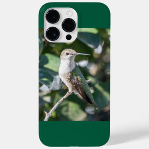 Robijnkeelkolibrie Case-Mate iPhone 14 pro max hoesje