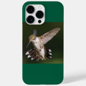Robijnkeelkolibrie Case-Mate iPhone case (Achterkant)