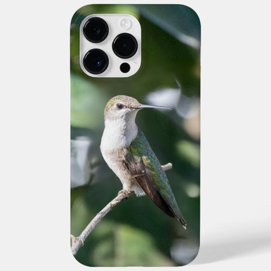 Robijnkeelkolibrie Case-Mate iPhone case (Achterkant)