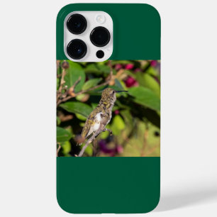 Robijnkeelkolibrie Case-Mate iPhone 14 pro max hoesje