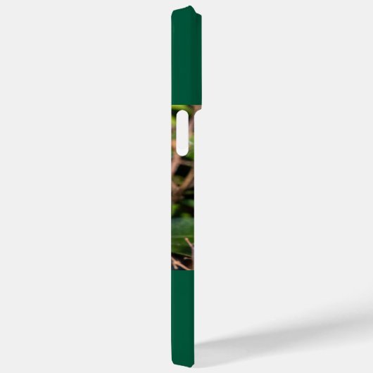 Robijnkeelkolibrie Case-Mate iPhone case (Achterkant / Rechts)