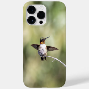 Robijnkeelkolibrie Case-Mate iPhone 14 pro max hoesje