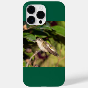Robijnkeelkolibrie Case-Mate iPhone 14 Pro Max Hoesje
