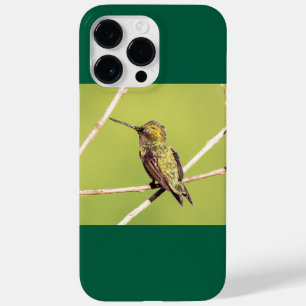 Robijnkeelkolibrie Case-Mate iPhone 14 Pro Max Hoesje