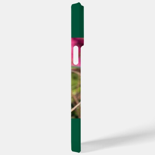 Robijnkeelkolibrie Case-Mate iPhone case (Achterkant / Rechts)