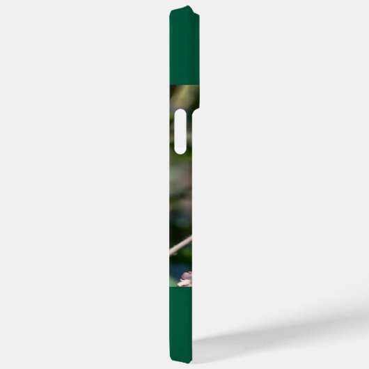 Robijnkeelkolibrie Case-Mate iPhone case (Achterkant / Rechts)