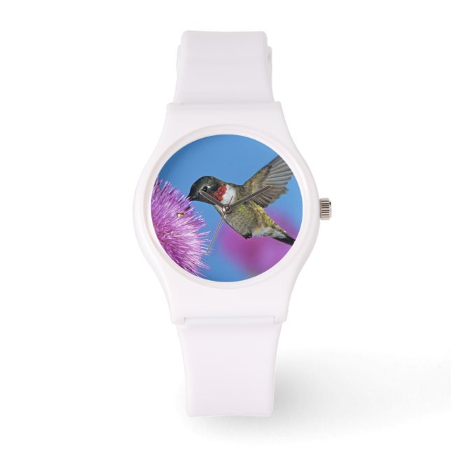 Robijnkeelkolibrie Horloge (Voorkant)