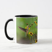 Robijnkeelkolibrie "in Plains Coreopsis" Mok (Links)