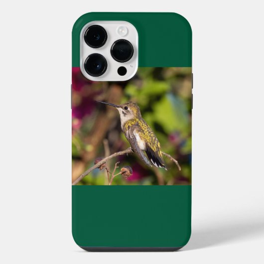 Robijnkeelkolibrie  iPhone hoesje (Achterkant)