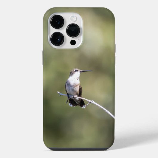 Robijnkeelkolibrie  iPhone hoesje (Achterkant)