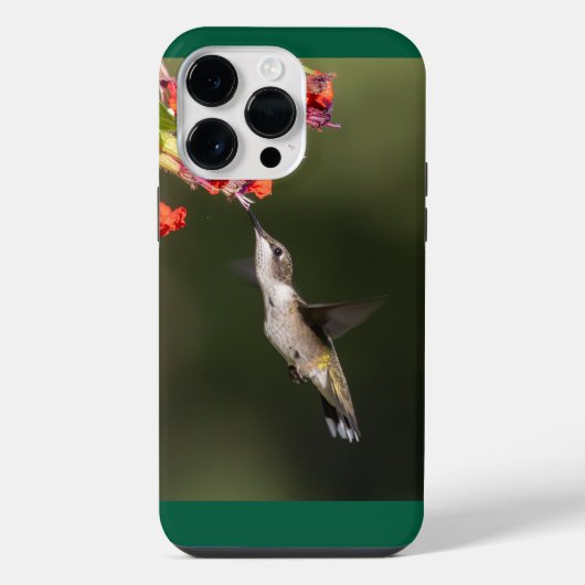 Robijnkeelkolibrie iPhone hoesje (Achterkant)