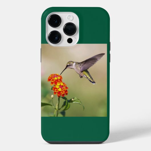 Robijnkeelkolibrie iPhone hoesje (Achterkant)