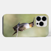 Robijnkeelkolibrie iPhone hoesje (Achterkant horizontaal)