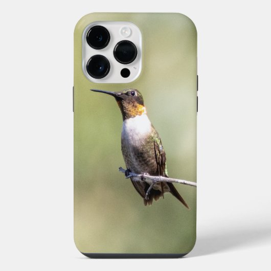 Robijnkeelkolibrie iPhone hoesje (Achterkant)