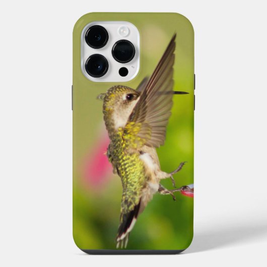 Robijnkeelkolibrie iPhone hoesje (Achterkant)