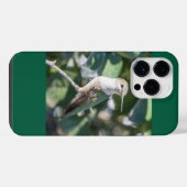 Robijnkeelkolibrie iPhone hoesje (Achterkant horizontaal)