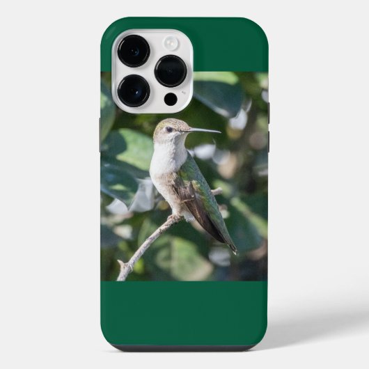 Robijnkeelkolibrie iPhone hoesje (Achterkant)