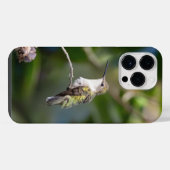 Robijnkeelkolibrie iPhone hoesje (Achterkant horizontaal)