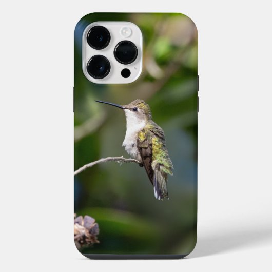 Robijnkeelkolibrie iPhone hoesje (Achterkant)