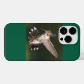 Robijnkeelkolibrie iPhone hoesje (Achterkant horizontaal)
