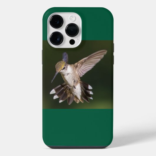 Robijnkeelkolibrie iPhone hoesje (Achterkant)