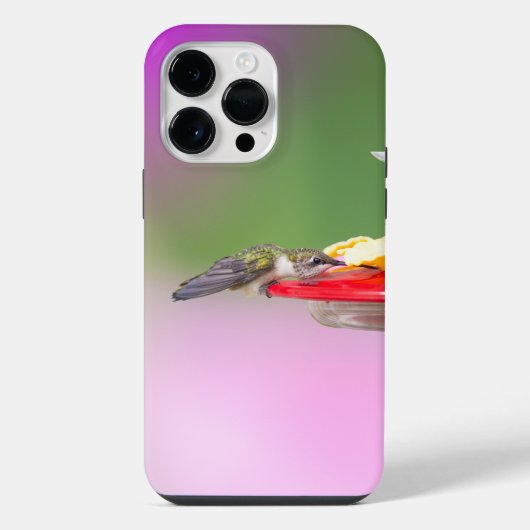 Robijnkeelkolibrie iPhone hoesje (Achterkant)