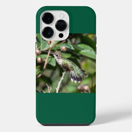 Robijnkeelkolibrie iPhone hoesje (Achterkant)